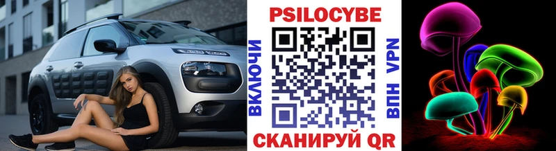 Купить где  Чегем  Галлюциногенные грибы Psilocybine cubensis 